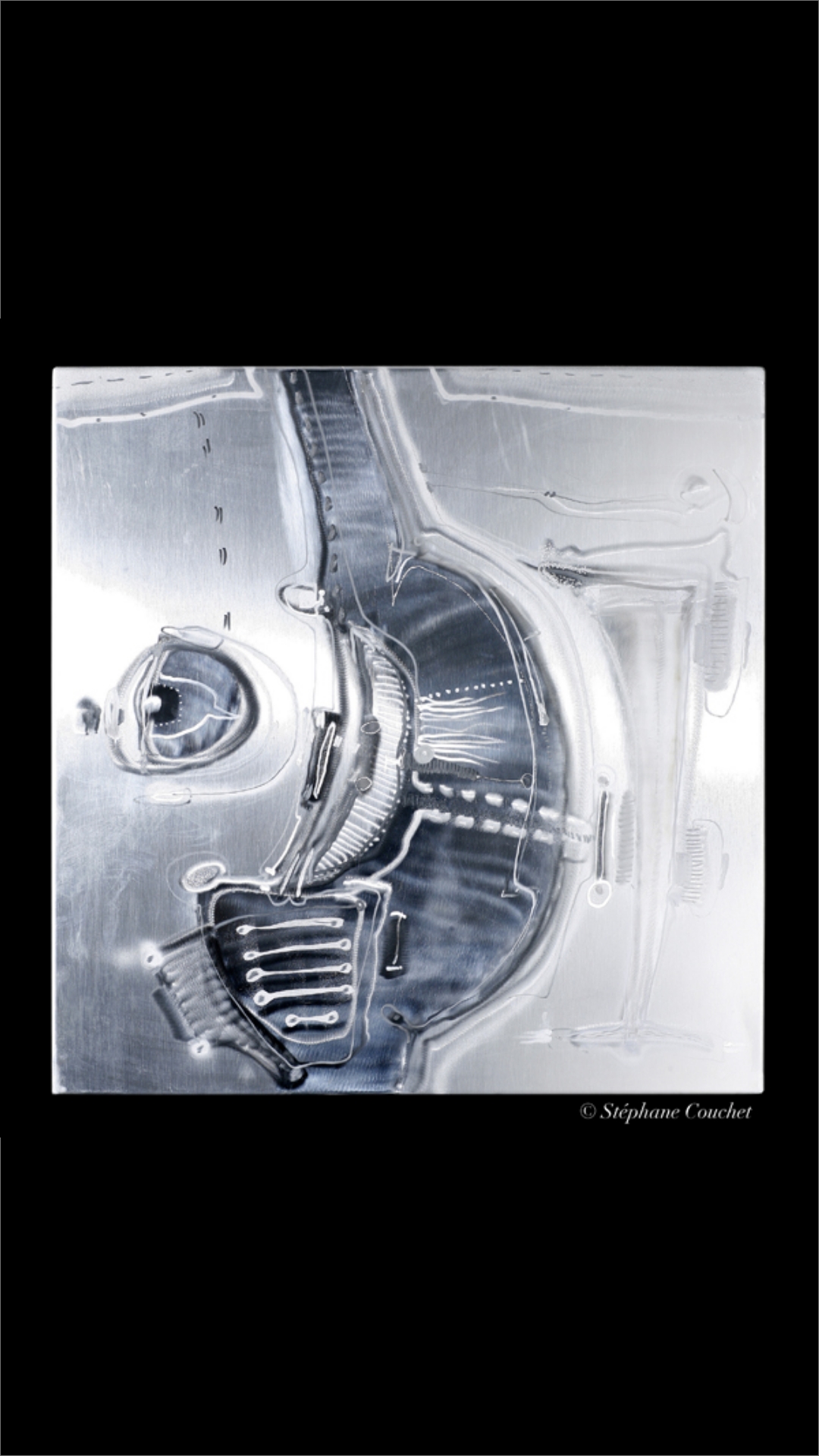 <p>Patrick Chappert Gaujal, cuisine works of art</p>
