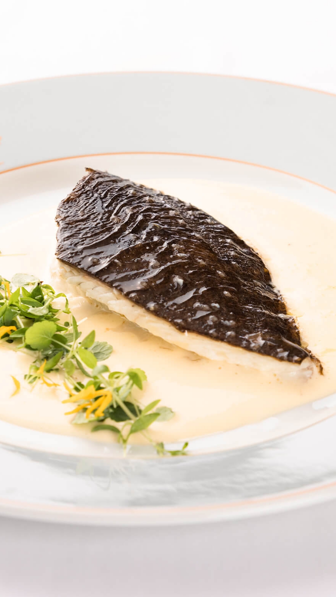 <p>Wild turbot in beurre blanc<br />
A. Escoffier Culinary Guide, 1907 edition<br />
Recipe page 510</p>
