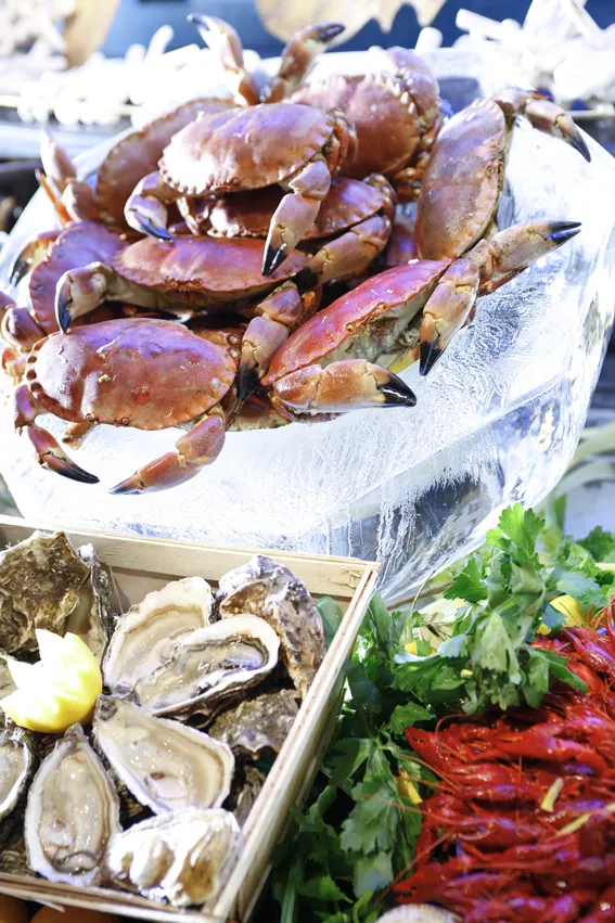 <p>Crabs, oysters and crayfish</p>
