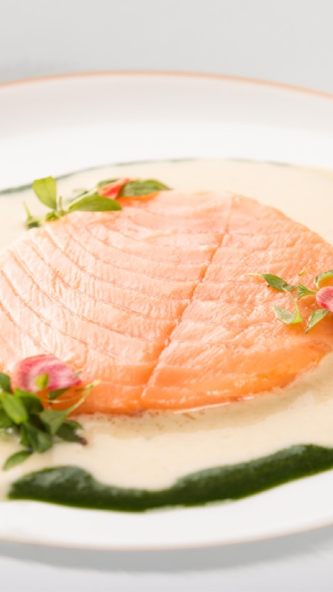 <p>The salmon escalope in sorrel sauce</p>

